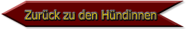 Zurück zu den Hündinnen