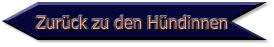 Zurück zu den Hündinnen