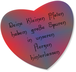 Deine Kleinen Pfoten habem große Spuren in unseren Herzen hinterlassen