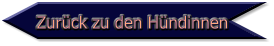 Zurück zu den Hündinnen