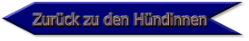 Zurück zu den Hündinnen