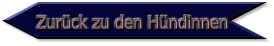 Zurück zu den Hündinnen